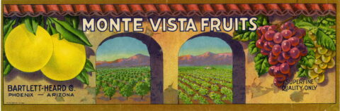 Monte Vista